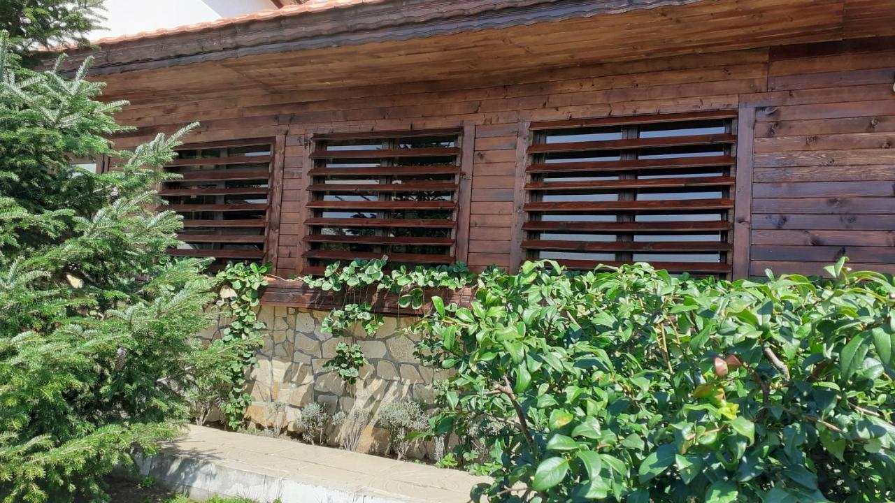 Guesthouse Dida Sapareva Banya Exterior foto